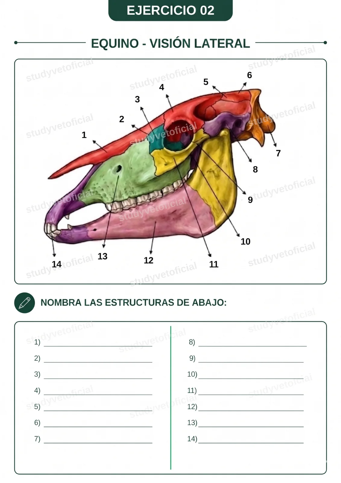 EJERCICIO-02-ES_11zon.webp