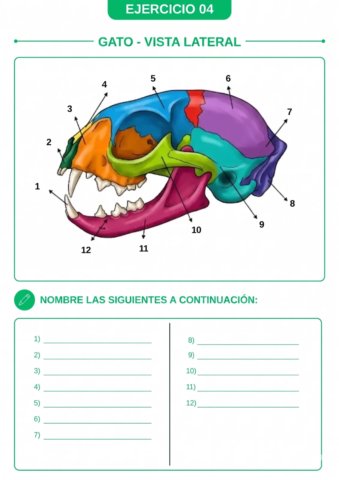 EJERCICIO-04-ES_11zon.webp