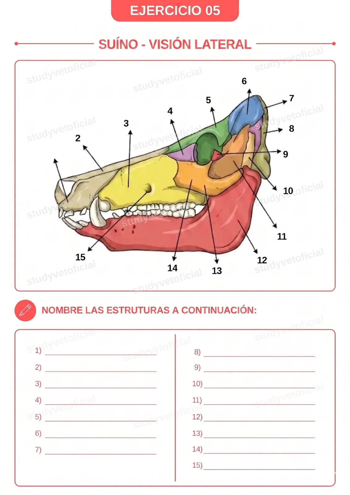 EJERCICIO-05-ES_11zon.webp