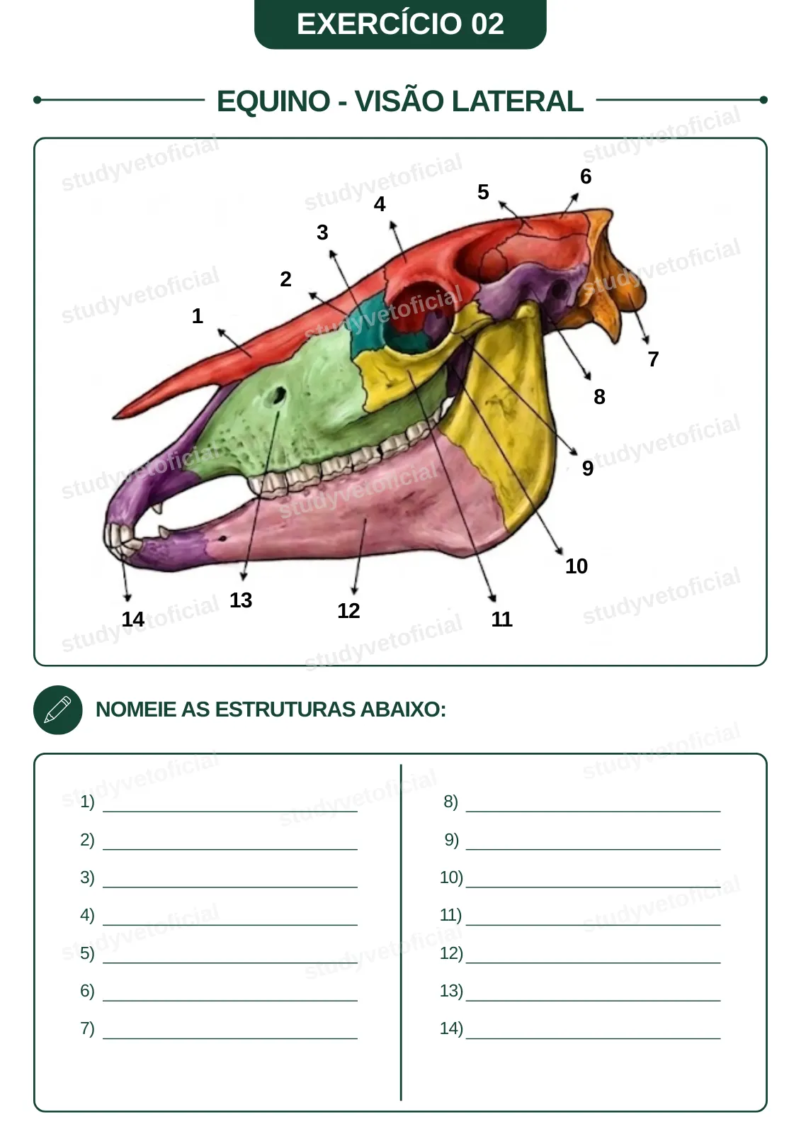 EXERCICIO-02.webp
